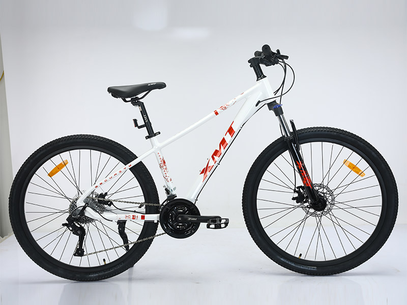PC-CB-317 Mountain Pioneer 27.5 inches